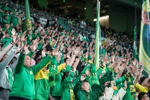 张辛昕谈国安亚冠仅2万多球迷到场：和成绩、周中、套票有关